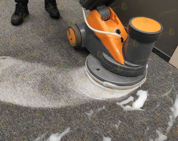carpet cleaning 地毯清潔